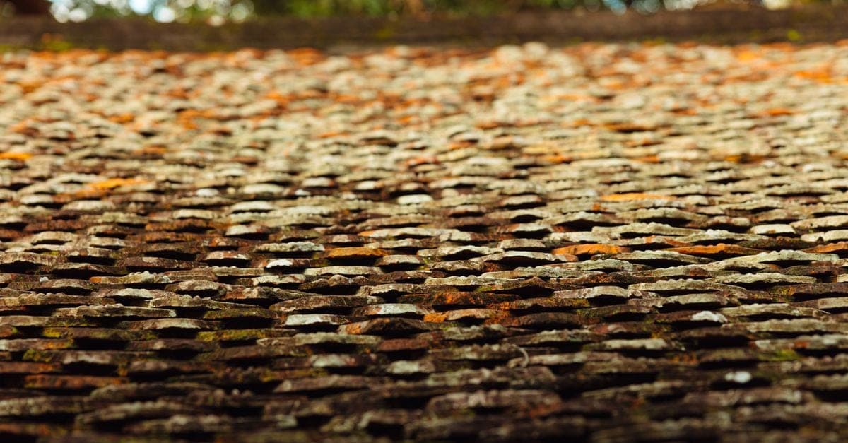 High pressure cleaning of roof tiles by SIA Roofing