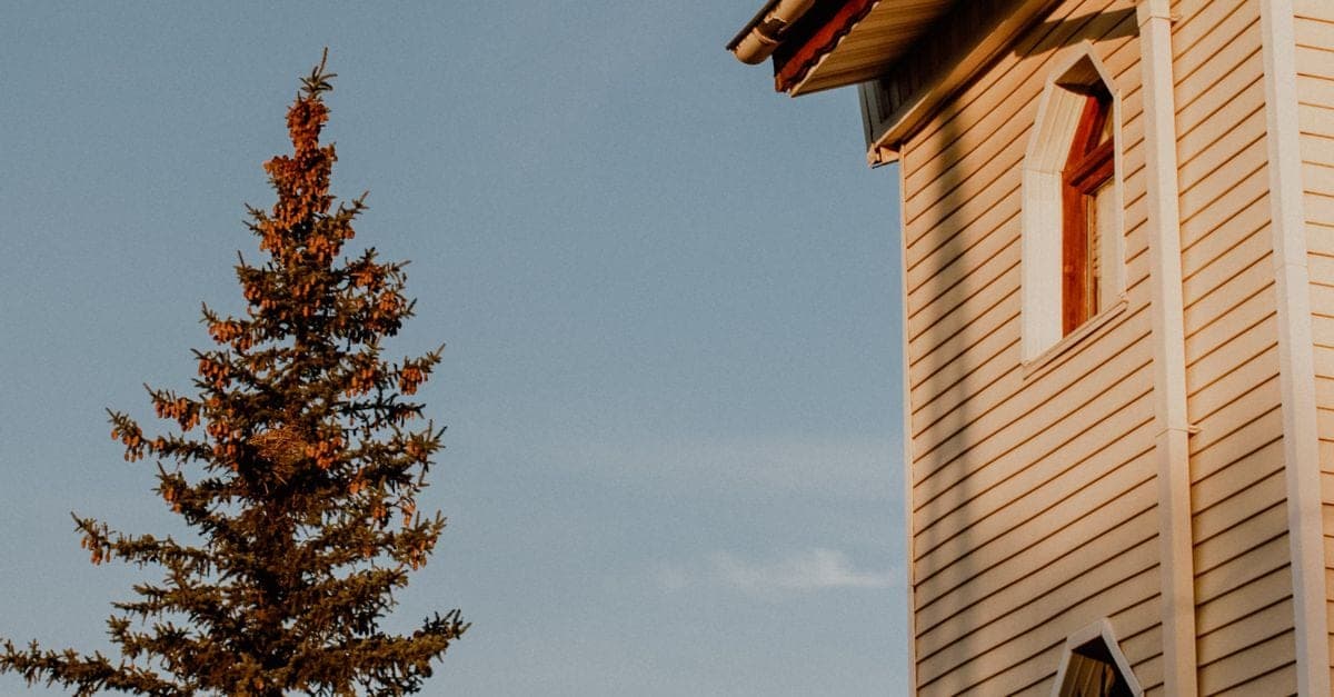 SIA Roofing technician cleaning gutters on Melbourne home